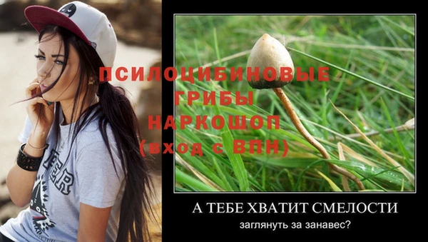 гидропоника Аркадак