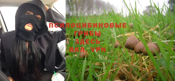 spice Армянск