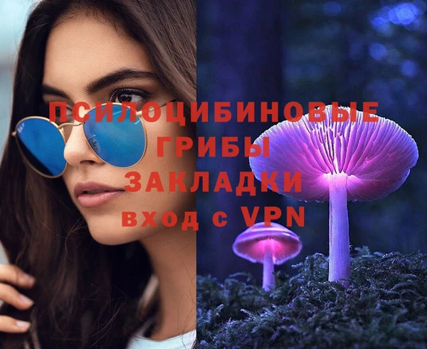 мдпв Арсеньев